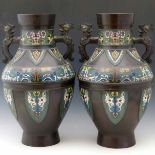 Pair of Chinese patinated bronze and champlevé enamel vases with dragon side handles decorated