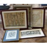 Quantity of assorted maps and engravings to include modern map of Cheshire and Ogilby road map