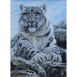 David L. Prescott, 20th century, Snow leopard, signed, acrylic on board, 38 x 28cm.; 15 x 11in.