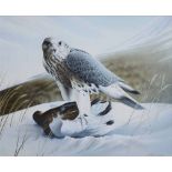 A. Thompson, 20th century, Gyrfalcon on a ptarmigan, signed and dated 2007, acrylic on board, 39.5 x