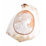 Cameo carved conch shell, depicting profile of woman with floral headress, approx. 13cm high. For