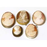 Five cameo shell brooches No condition reports for this sale.