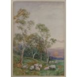 David Bates, watercolour, sheep in landscape with trees,