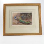 W E Powell, watercolour, peacock and peahen in a landscape, 5.