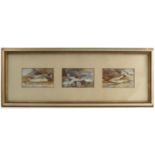 Harry Davis, three rectangular watercolours, fish caught on the fore shore,