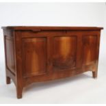 A 20th century Arts and Crafts coffer, possibly walnut, with panelled rising lid,