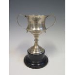 Silver Presentation Cup and salt spoons