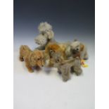 A Collection of Five Steiff Dogs 1950's-80's: Large Fully Jointed Poodle No. 5335,2, small Poodle,