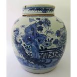 A Chinese Blue and White Porcelain Ginger Jar decorated with peacock in a foliate setting, 22 cm and