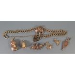 9ct Gold Charms and Bracelet, 12.7 g