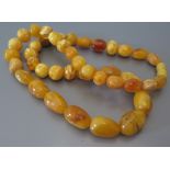 An Amber Bead Necklace, 35.1 g gross