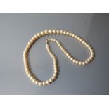 A Pearl Necklace with 9 ct Gold Clasp