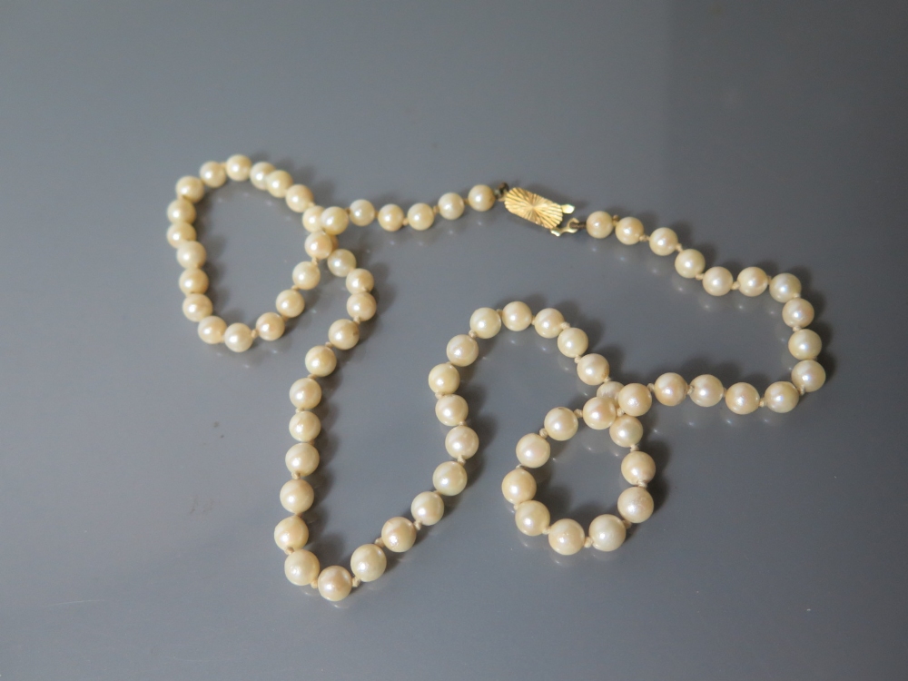 A Pearl Necklace with 9 ct Gold Clasp