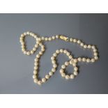 A Pearl Necklace with 9 ct Gold Clasp