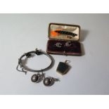 Victorian Earrings, bloodstone locket etc