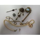 Selection of Costume Jewellery etc