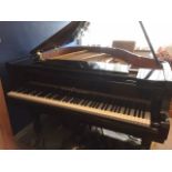 Young Chang (c2000) A 'baby' grand piano in a bright ebonised case on square tapered legs.