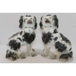 A pair of Staffordshire pottery black and white seated spaniels, 13.