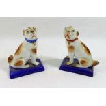 A pair of Derby porcelain figures of pugs, seated on rectangular blue bases,