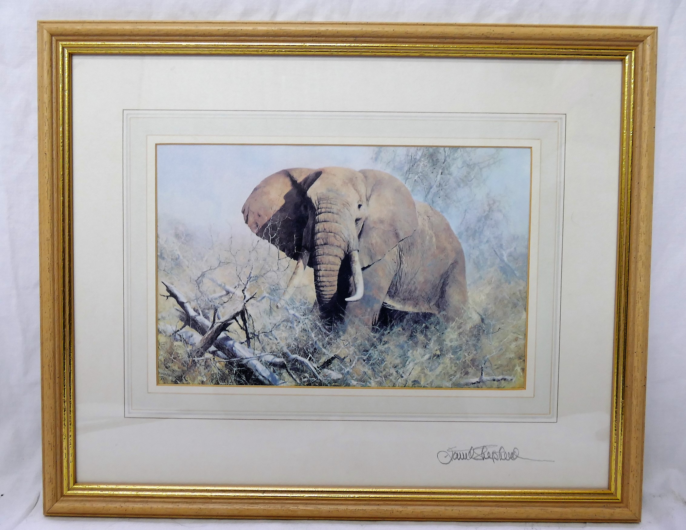 David Shepherd (1931-2017) Two prints of an elephant and a tiger cub Each signed to the mount 16. - Image 2 of 2