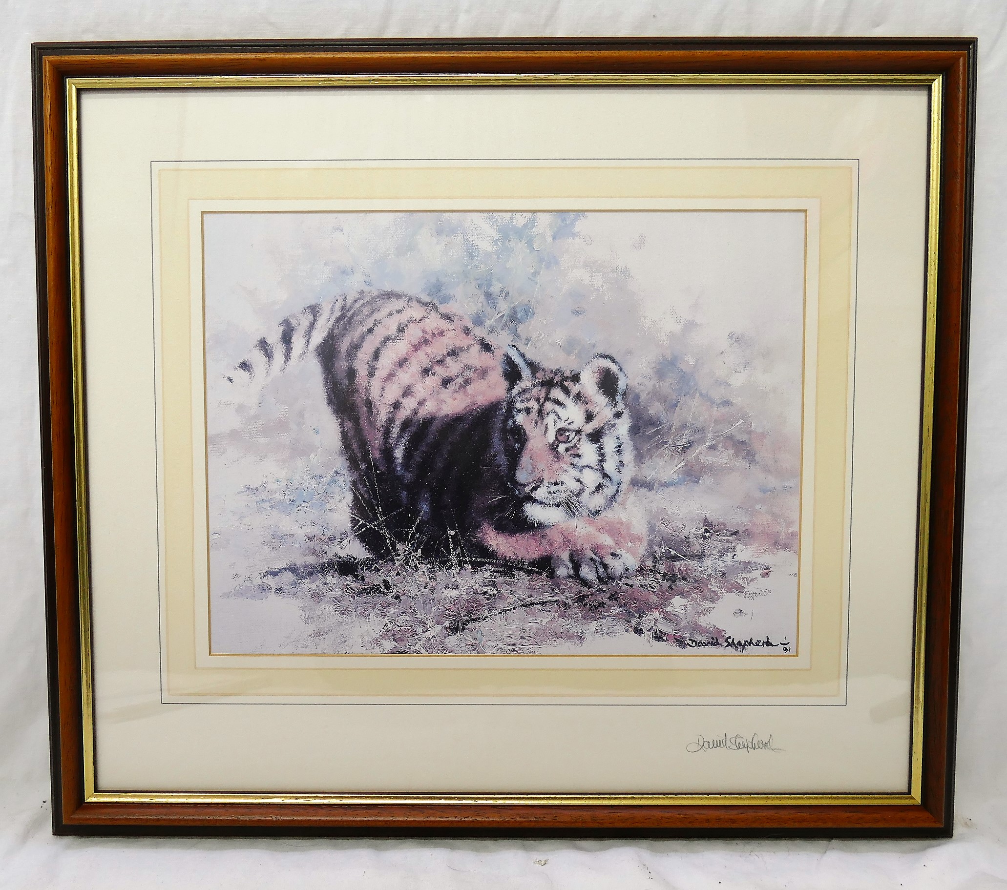 David Shepherd (1931-2017) Two prints of an elephant and a tiger cub Each signed to the mount 16.