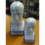 A reproduction Phrenology head, height 31cm, and another smaller similar model (2).