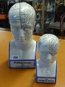 A reproduction Phrenology head, height 31cm, and another smaller similar model (2).