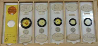 Millikin and Lawley interesting collection of microscope slides housed in 12 trays in original