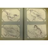 An interesting collection of Edwardian postcards by W.C.B Hele, animal subject mainly Mint cards