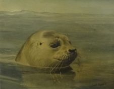 Hubert Pepper, two oil on canvas, Seals, unframed, largest 40 x 51cm, smallest 30cm x 41cm, some