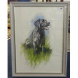 Andrew Miller, two pastel paintings of dogs, signed 69cm x 49cm (2).