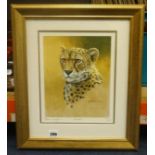 Stephen Gayford, two signed limited edition prints Lioness and Cheetah, .