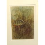 Robin Armstrong, three signed limited edition prints 'Fish'.