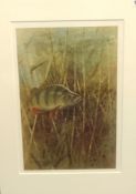 Robin Armstrong, three signed limited edition prints 'Fish'.