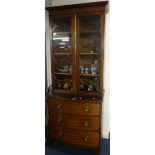 A 19th Century mahogany bookcase, the upper section with circular astragal glazing bars and two