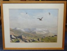 Collection of paintngs including Nesta Wimbush 'Curlews Over Moel Faban' water colour