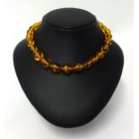 An amber pendant and an amber style bead necklace, graduated beads, length 56cm, approx 30.80gms.