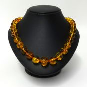 An amber necklace, set with 35 graduated beads, approx 52gms.