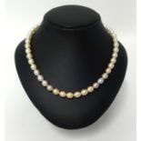 A modern Chinese pearl necklace with silver clasp (with receipt)