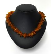 An amber bead necklace, approx 47.70gms.