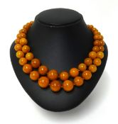 An amber double necklace, approx 81.70gms.