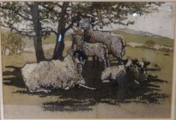 Carol Banks, 'Sheep', 23cmx 33cm.