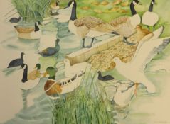 Eric Waugh, signed watercolour 'Ducks', unframed, 57cm x 77cm.