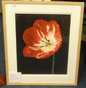 Derek Harris, six signed giclee 'Flowers' including 'Tulipa' artist proof, largest 50cm x 41cm (6).
