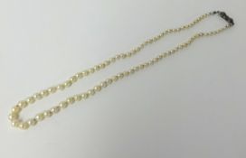 A string of graduated cultured pearls in original box, circa 1950's, approx 40cm long.