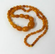 A 1920's amber necklace, 54.46gms, 33 inches long.