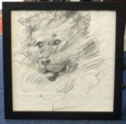 Robert Lenkiewicz (1941-2002), a pencil sketch of a dog, circa 1970, with photograph, 29cm x 29cm