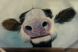 Shirley Macarthur, 'Nosey Cow', box canvas print, 50cm x 70cm.