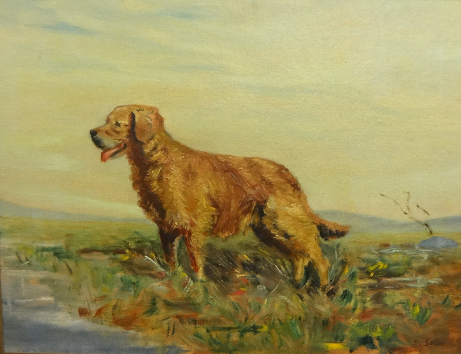 D.U.Soissuns, pair of oil on boards, 'Dog Studies', 58cm x 75cm.