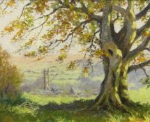 Ernest Knight (1915-1995) signed oil 'Autumn Beech, Widecombe in the Moor 1983', 40cm x 48cm.